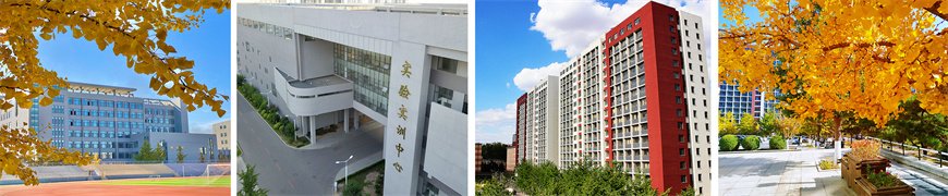 艺术等协调发展的多科性应用型大学