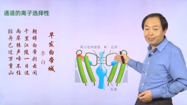 61fdc0fb145b436eaf7e592a0b589277.png 它的“带头人”王世强教授