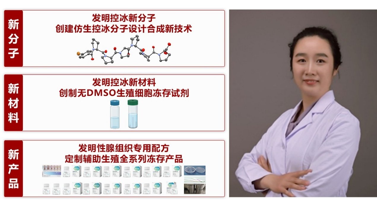 image17.jpeg 开创性地建立了化学小分子诱导体细胞重