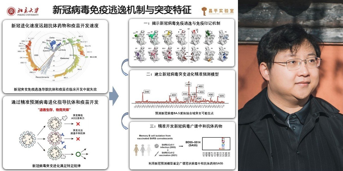 image10.jpeg 获国际合作中关村奖