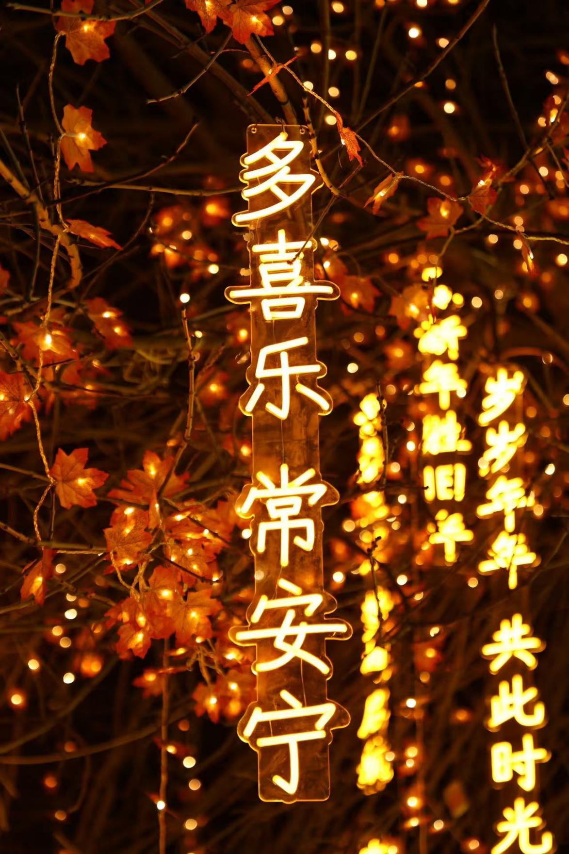 image19.jpeg 北京大学2026跨年灯光秀如约而至